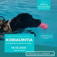 16.10.2021 Koirauinti